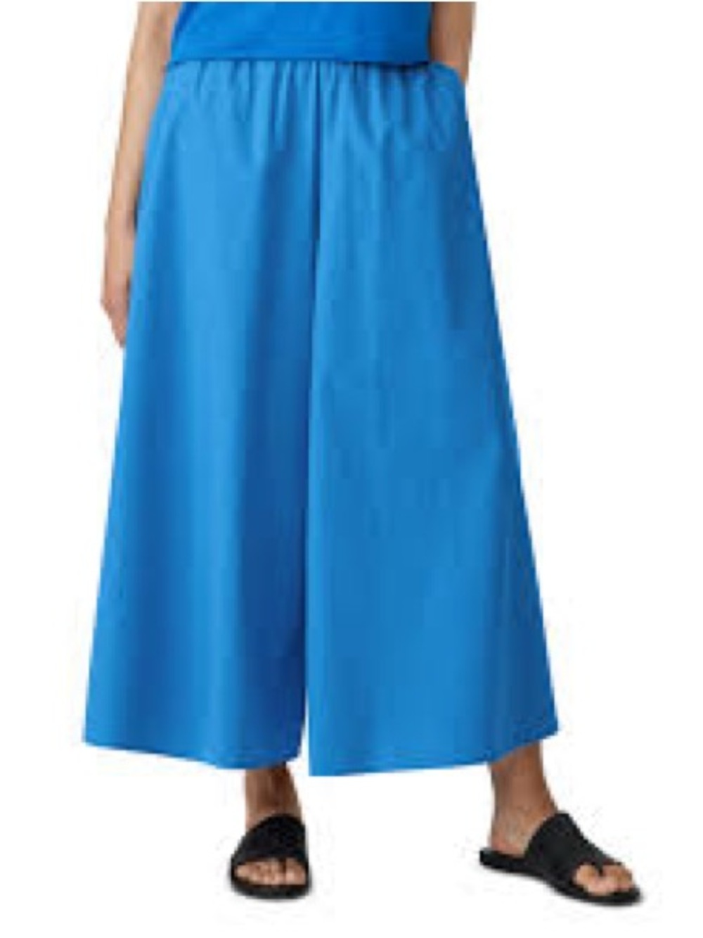 Eileen Fisher Cornflower Blue Organic Cotton Wide Leg Crop Pants Skirt Size S/P